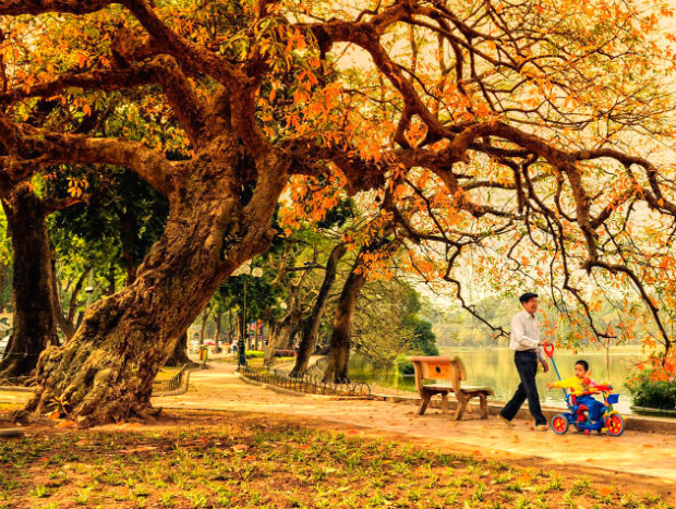 Việt Nam bất ngờ vượt Trung Quốc, New Zealand trong danh sách du lịch thế giới: Có 3 địa danh được gọi tên - Ảnh 5.