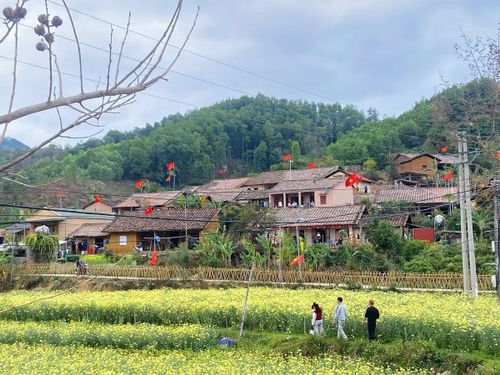 Phát hiện bản làng gần 160 hộ ở Việt Nam, mùa xuân ngập sắc vàng, hồng, trắng như tấm thổ cẩm khổng lồ - Ảnh 1.