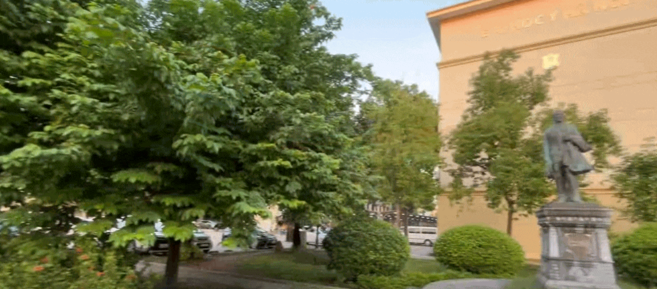 Mang về 3,33 tỷ USD xuất khẩu cho Việt Nam năm 2025, loài cây này lại thuộc danh mục cấm trồng ở Hà Nội - Ảnh 1.