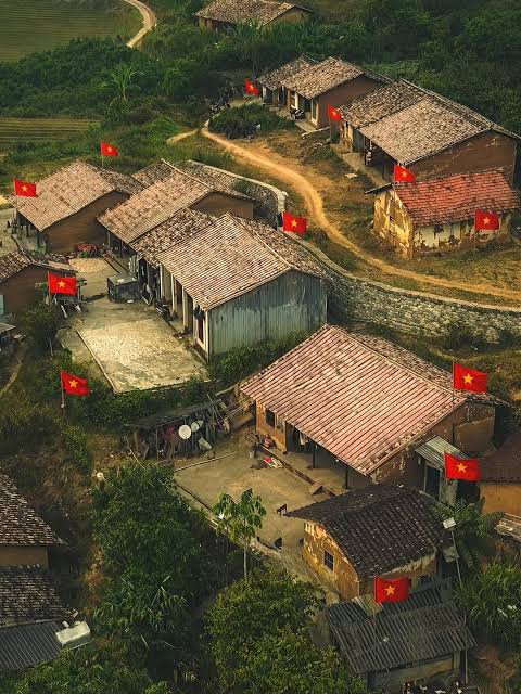 Phát hiện bản làng gần 160 hộ ở Việt Nam, mùa xuân ngập sắc vàng, hồng, trắng như tấm thổ cẩm khổng lồ - Ảnh 2.
