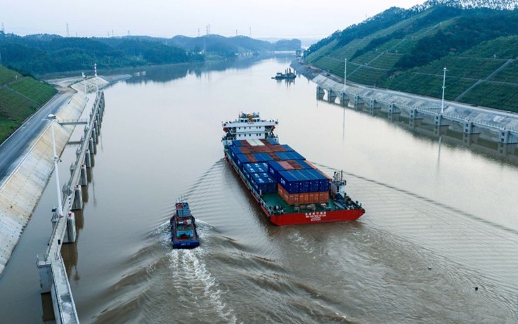 'Cơn thèm' từ Trung Quốc khiến Thái Lan chặt cao su, bỏ cà phê vì 'cây trồng vàng': Giờ Việt Nam vượt lên ảnh 2 'Cơn thèm' từ Trung Quốc khiến Thái Lan chặt cao su, bỏ cà phê vì 'cây trồng vàng': Giờ Việt Nam vượt lên - Ảnh 2.