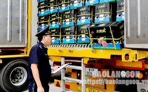 Đúng 21/10, VN huy động 3.400 tấn thép hợp long cây cầu 1.000 tỷ “chưa từng có trên thế giới” vượt sông Sài Gòn - Ảnh 4.