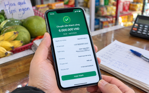 100 người đang đào hầm xuyên núi trên tuyến cao tốc gần 10.000 tỷ đồng ở Việt Nam - Ảnh 1.