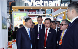 Kho hàng khổng lồ hơn 1,4 triệu m2 của Việt Nam sát vách Trung Quốc vừa có bước tiến mới - Ảnh 4.