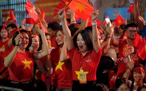 DN tỷ phú Phạm Nhật Vượng bắt tay đơn vị Nhà nước có vệ tinh siêu nhỏ “made in Vietnam” làm chùm vệ tinh - Ảnh 4.