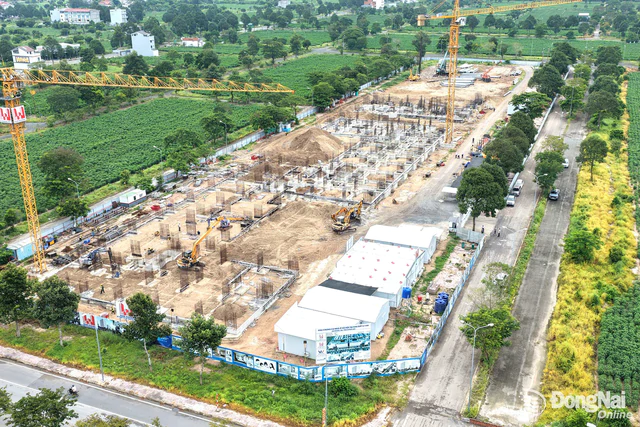 Hé lộ giá bán siêu rẻ của hàng nghìn căn hộ tại cực tăng trưởng hàng đầu Việt Nam - Ảnh 1.