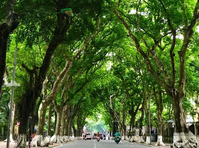 Tháng 10, Hà Nội không chỉ có hoa sữa: Hãy đến những nơi này để cảm nhận trọn vẹn hương sắc mùa thu - Ảnh 3.