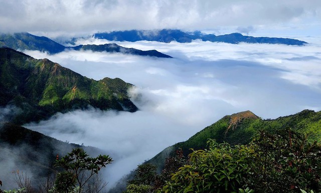 Phát hiện đỉnh núi cao 3.143 m ở Việt Nam, từng lạnh -8°C, mùa đông nhìn như một góc châu Âu - Ảnh 6.