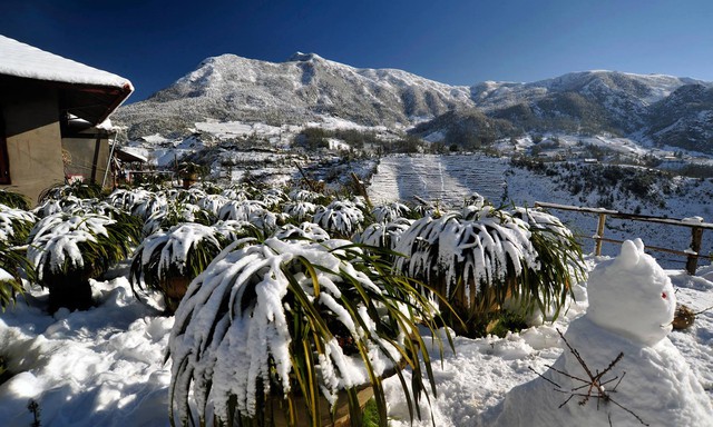 Phát hiện đỉnh núi cao 3.143 m ở Việt Nam, từng lạnh -8°C, mùa đông nhìn như một góc châu Âu - Ảnh 2.