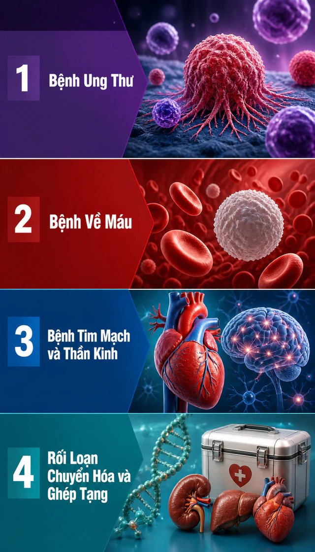 Tất cả người dân có sổ BHXH, thẻ BHYT chú ý thông báo từ Bảo hiểm xã hội Việt Nam- Ảnh 1.