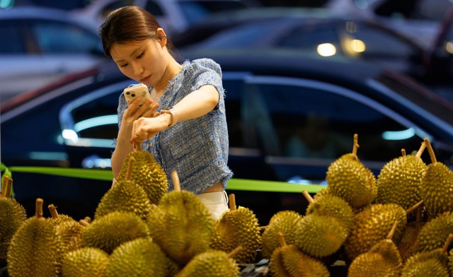 Malaysia nhắm đến các tuyến đường bộ để thúc đẩy thương mại sầu riêng tại Trung Quốc - Ảnh 1.