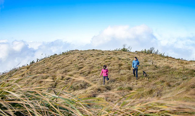 Phát hiện bản làng ở độ cao 1.300m tại Việt Nam, mùa xuân cả sườn núi nhuộm hồng như một tấm lụa khổng lồ - Ảnh 1.