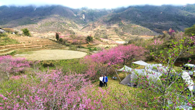 Phát hiện bản làng ở độ cao 1.300m tại Việt Nam, mùa xuân cả sườn núi nhuộm hồng như một tấm lụa khổng lồ - Ảnh 2.