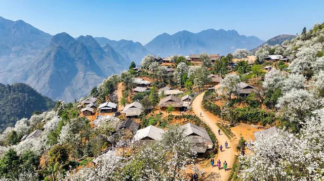 Phát hiện bản làng ở độ cao 1.300m tại Việt Nam, mùa xuân cả sườn núi nhuộm hồng như một tấm lụa khổng lồ - Ảnh 6.