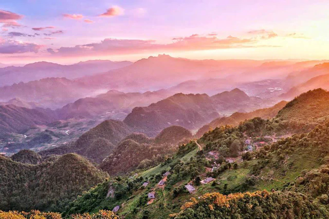 Phát hiện vùng núi cao 1.200m ở Việt Nam, có 1.400 cây cổ thụ, nhiều thân to như cột đình phủ kín rêu già - Ảnh 6.