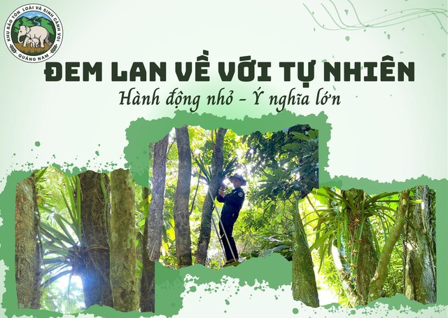 Người Việt tử tế: Từ tủ sữa mẹ thầm lặng ở Tây Nguyên đến “lá chắn số”, phần mềm vòng tay yêu thương - Ảnh 3.