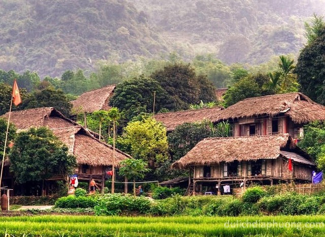 Phát hiện vùng núi cao 1.200m ở Việt Nam, có 1.400 cây cổ thụ, nhiều thân to như cột đình phủ kín rêu già - Ảnh 1.