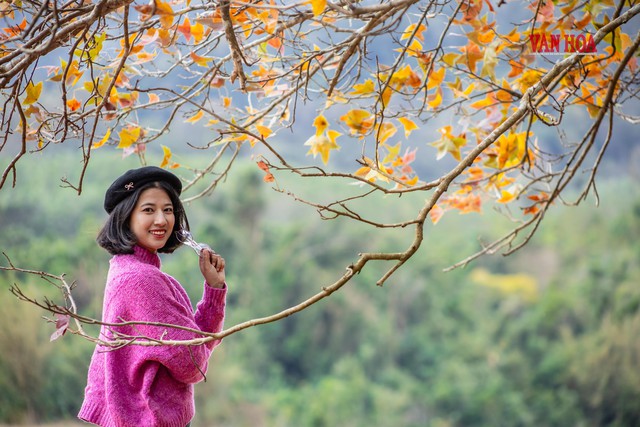 Việt Nam có cánh rừng hiếm hoi mỗi năm đổi qua 3 màu, cung trekking 14km đẹp như một góc trời Âu - Ảnh 5.