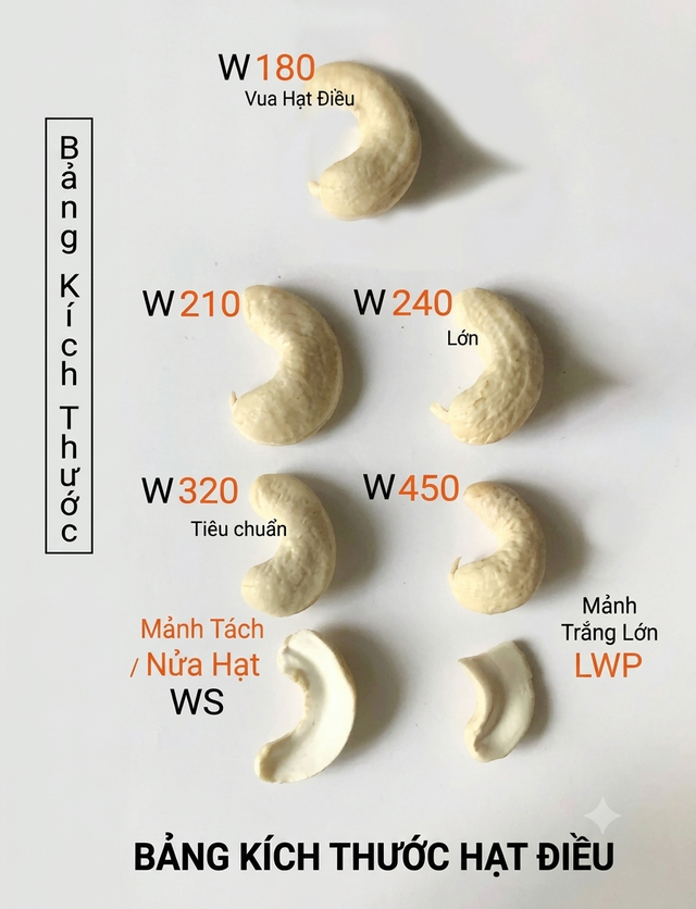 Loại hạt điềucỡ 2cm vừa mang về 4,2 tỷ USD: Việt Nam đứng số 1 thế giới suốt 19 năm, khiến toàn cầu phải mua - Ảnh 2.