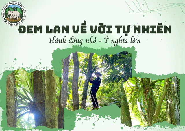  - Ảnh 1.