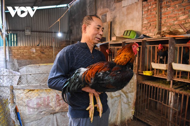 Vụ bữa cơm bình dân 640 . 000 Đồng ở Quảng Ngãi và giá gà kiến gây tranh cãi - Ảnh 5.