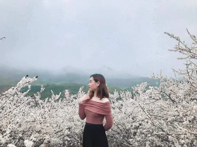 Phát hiện bản làng gần 160 hộ ở Việt Nam, mùa xuân ngập sắc vàng, hồng, trắng như tấm thổ cẩm khổng lồ - Ảnh 5.