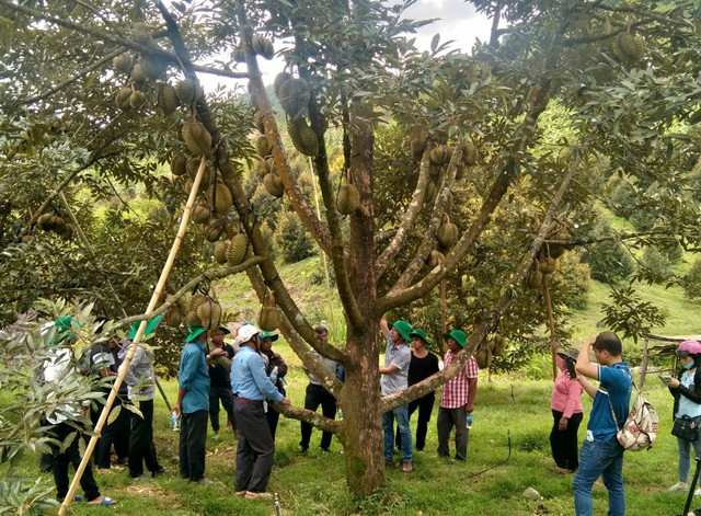Phát hiện vùng đất có những viên đá "biết kêu" ở Việt Nam, vang như chuông: Dấu tích đã tồn tại 3.000 năm - Ảnh 7.