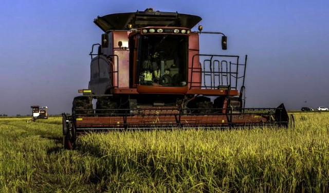 Cuba và Việt Nam tăng cường hợp tác trong một lĩnh vực đang rất thành công - Ảnh 2.