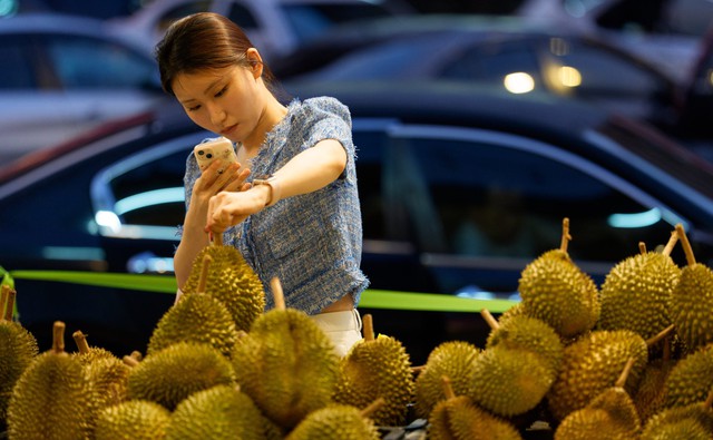 Kế hoạch của Malaysia nhằm giành thị phần sầu riêng tại Trung Quốc từ tay Thái Lan - Ảnh 2.
