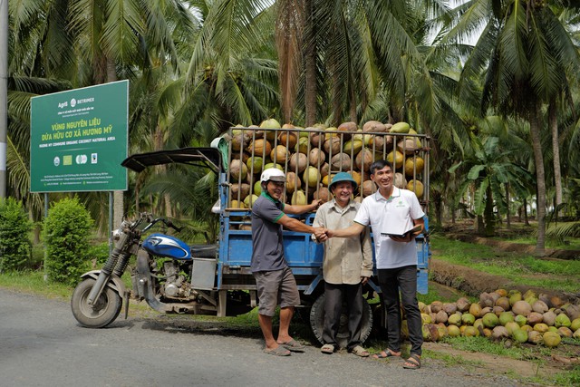 Tái sinh vườn dừa: Lời tri ân từ một doanh nghiệp nửa thế kỷ gắn bó với cây dừa - Ảnh 1.
